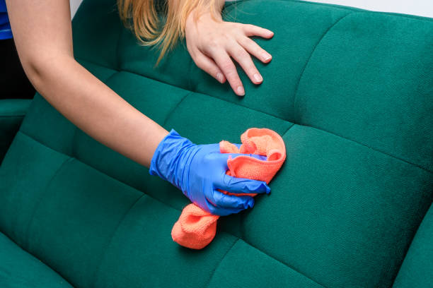 Sofa Cleaning